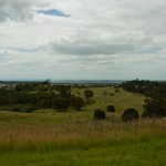 mount annan botanic garden
