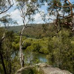 ku-ring-gai chase NP