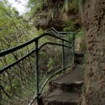 national pass - blue mountains