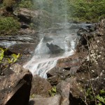 wentworth falls - blue mountains