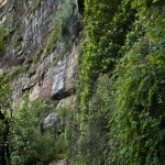 national pass - blue mountains