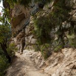 national pass - blue mountains